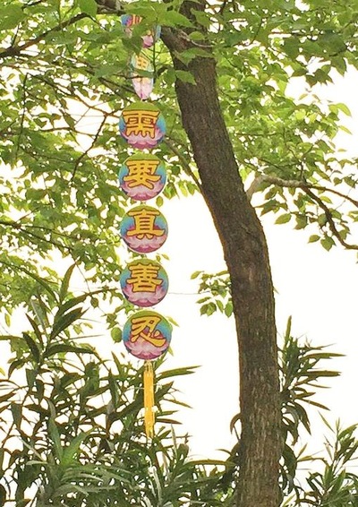 A tree pendant in Honghu City, Hubei Province, says, “The world needs Truthfulness-Compassion-Forbearance.”