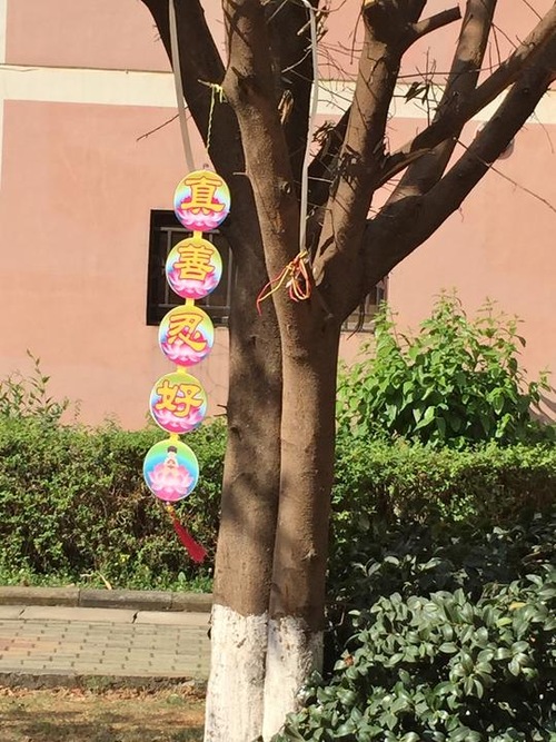 A tree pendant in Kunming City (also known as “Spring City”), the capital of Yunnan Province in Southern China, that says, “Truthfulness-Compassion-Forebearance is good.” Similar tree pendants or posters were also seen in nearby Guizhou Province.