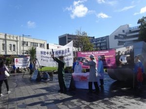 Torture reenactment in Newmarket Park in downtown Auckland, to expose the Chinese regime's crimes of forced organ harvesting.