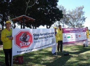 The car tour stops in Stanthorpe. Local newspaper Stanthorpe Border Post interviewed the practitioners. Many people signed the petition to condemn the persecution in China.