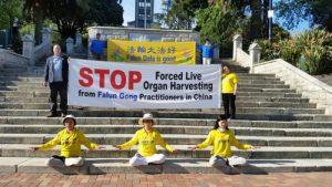 Practitioners demonstrate the Falun Gong exercises in Nelson during the car tour to raise awareness of the forced organ harvesting of prisoners of conscience in China.