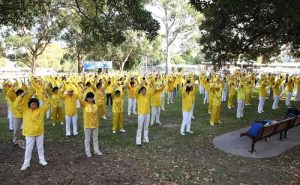 Falun Gong practitioners do the exercises together in Camperdown Park, Sydney, Australia.