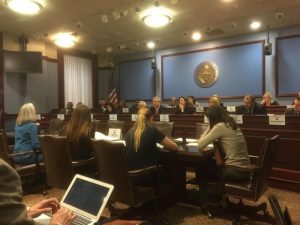 Falun Gong practitioners testified in the House Health Committee on March 13, 2017.