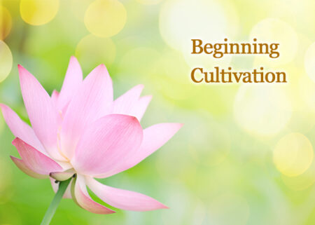 BeginningCultivation2x